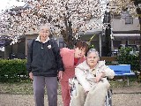  800x600 80,884 Bytes