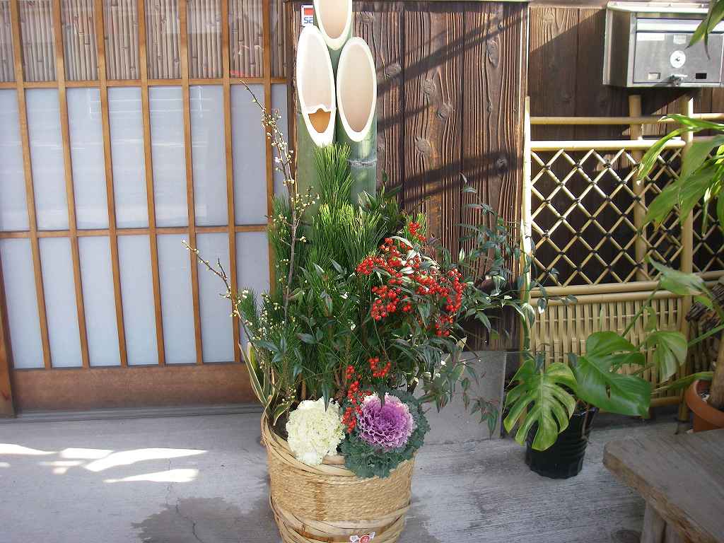 IMGP024s.jpg