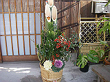 IMGP024s_th.png