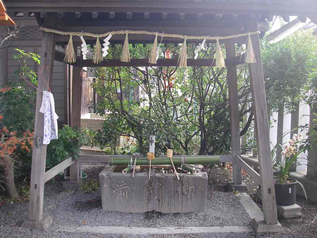 IMGP005s.jpg