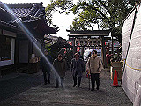 IMGP006s_th.jpg