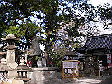 IMGP016s_th.jpg