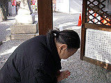 IMGP026s_th.jpg