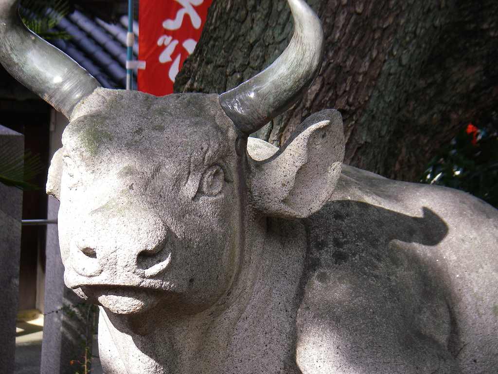 IMGP033s.jpg