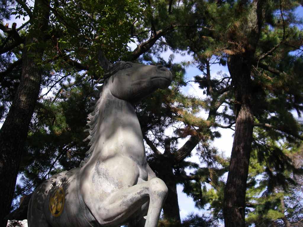 IMGP034s.jpg