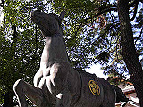 IMGP035s_th.jpg