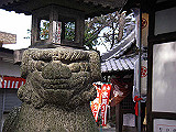 IMGP036s_th.jpg