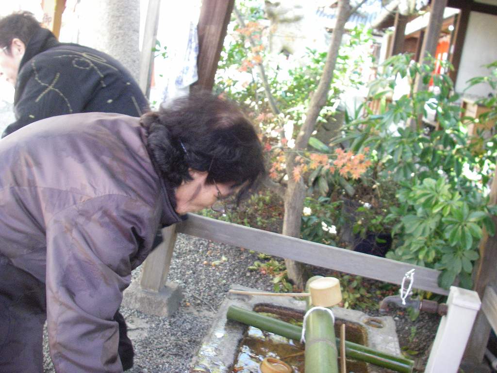 IMGP048s.jpg