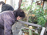 IMGP048s_th.jpg