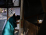 IMGP051s_th.jpg