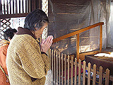 IMGP057s_th.jpg