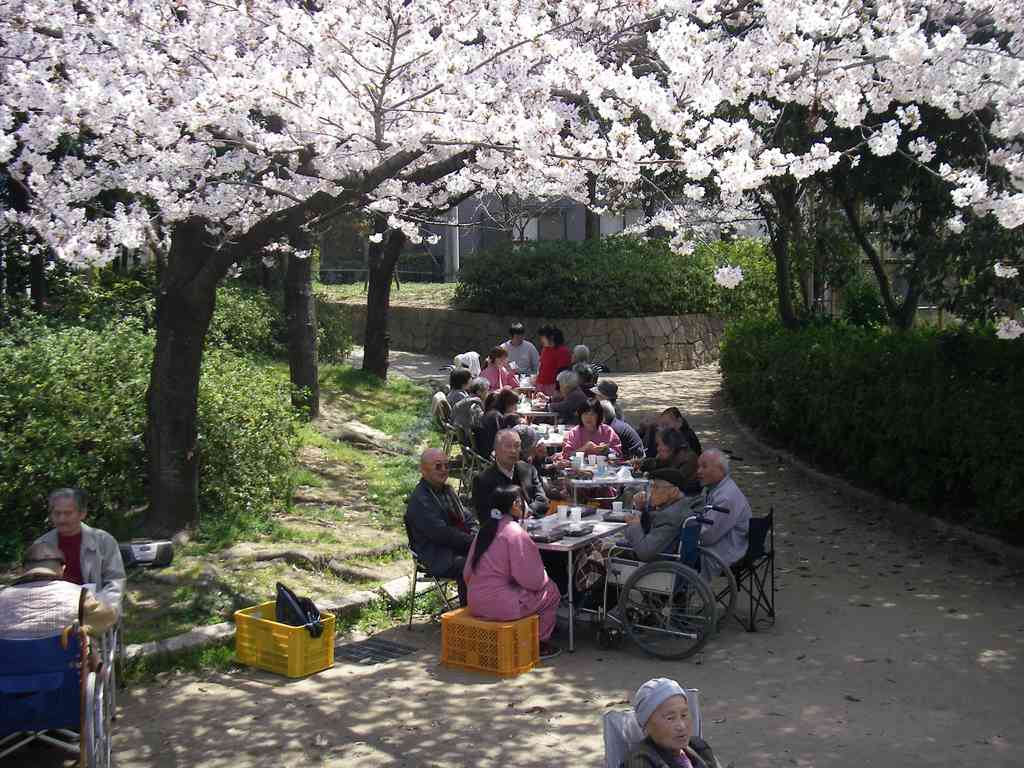 IMGP1087.JPG