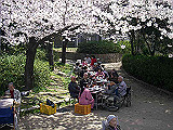 IMGP1087_th.jpg