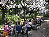 IMGP1089_th.jpg