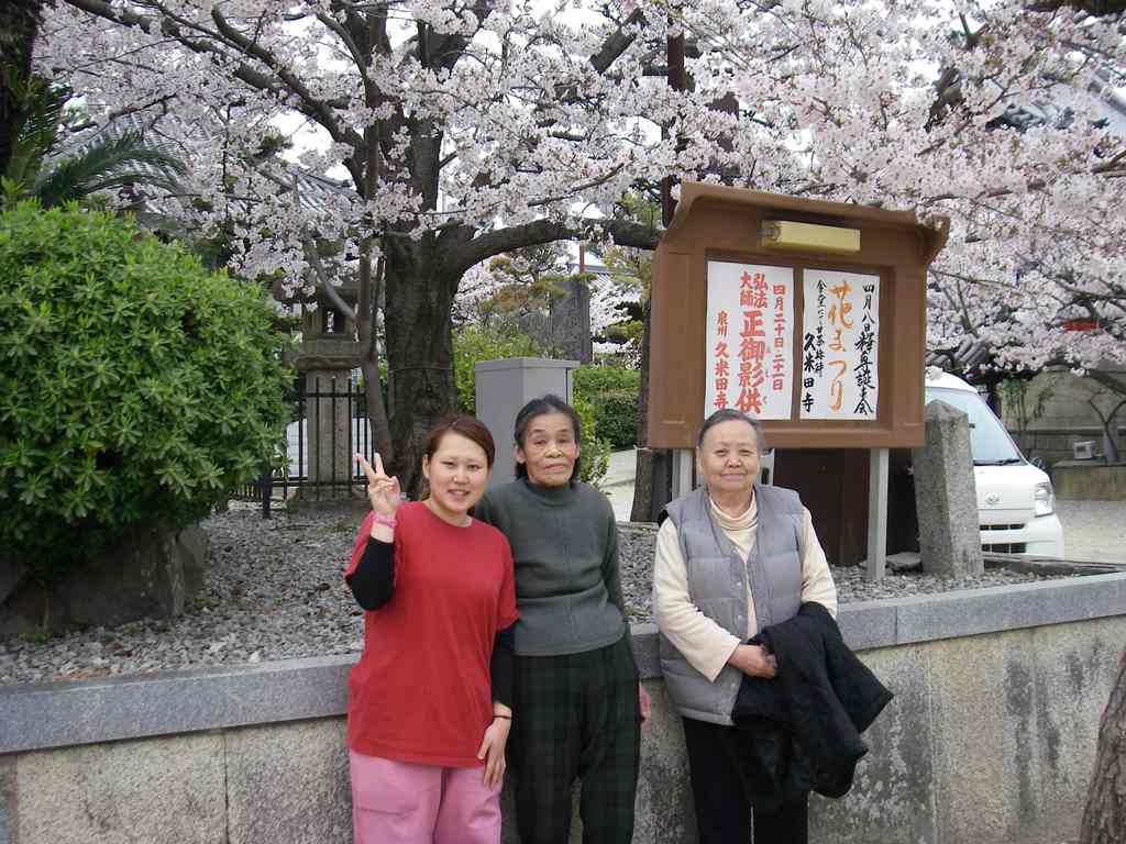 IMGP1140.JPG