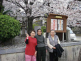 IMGP1140_th.jpg