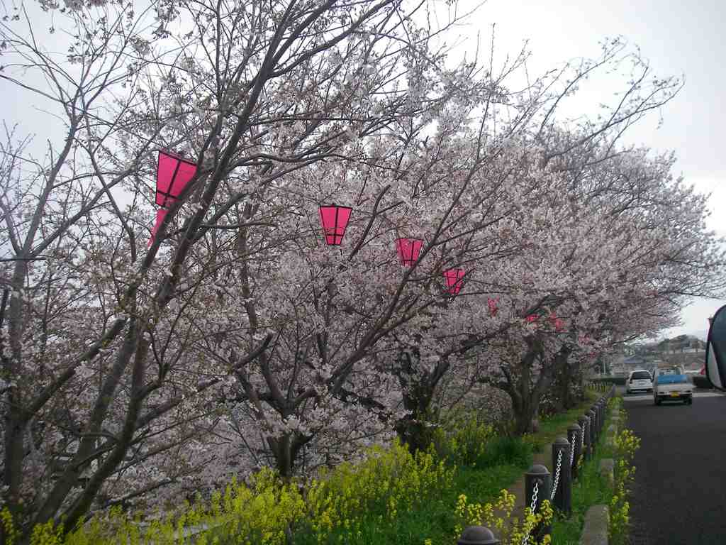 IMGP1159.JPG