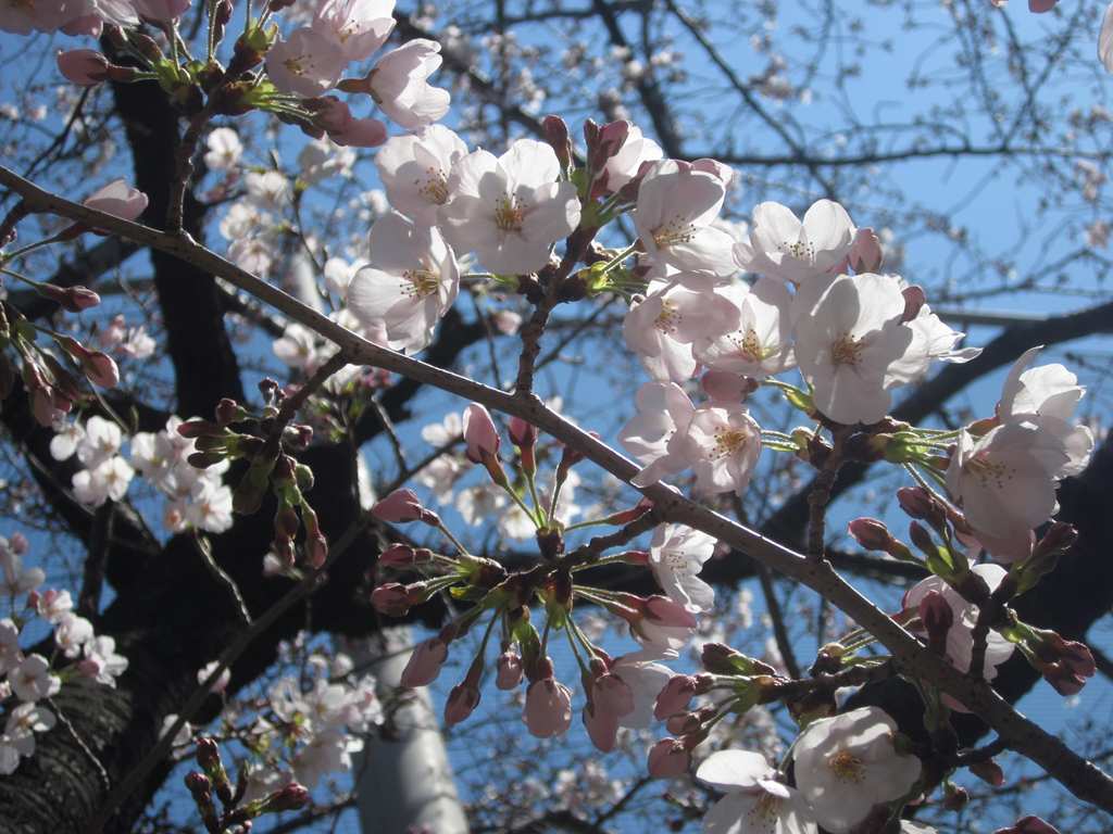 IMG_0412.JPG