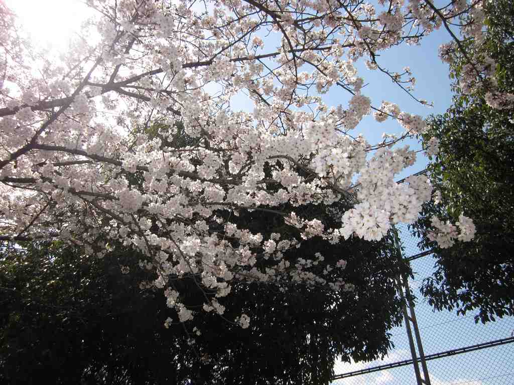 IMG_0605.JPG