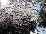 IMG_0605_th.jpg