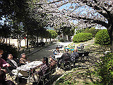 IMG_0653_th.jpg