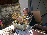 IMGP2789_th.jpg