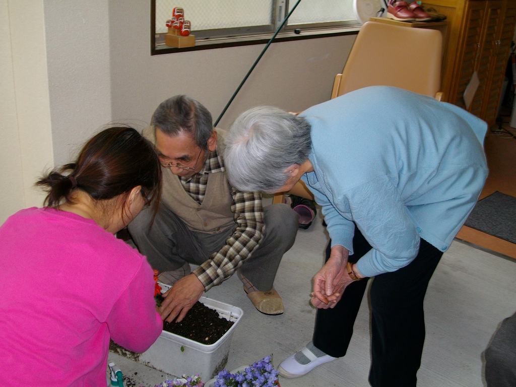 IMGP2803.jpg