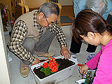 IMGP2804_th.jpg