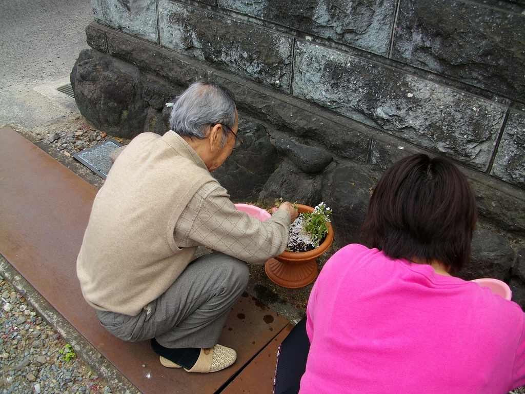 IMGP2925.jpg