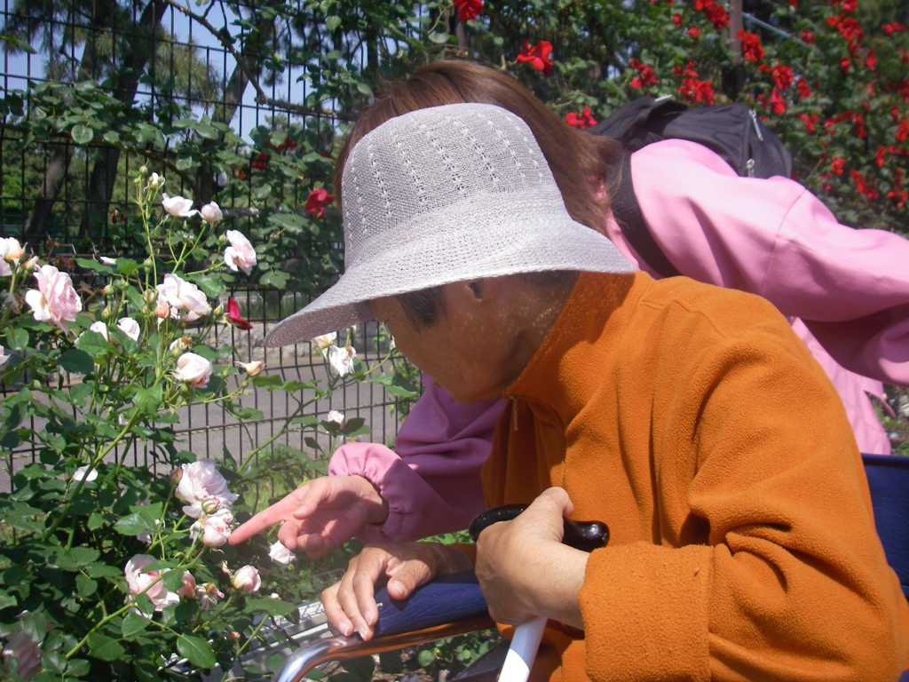 IMGP001.jpg