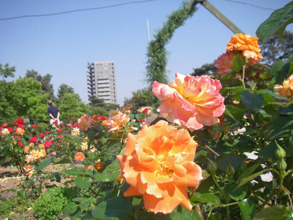 IMGP004.jpg
