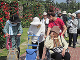 IMGP019_th.jpg