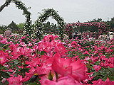 IMGP032_th.jpg