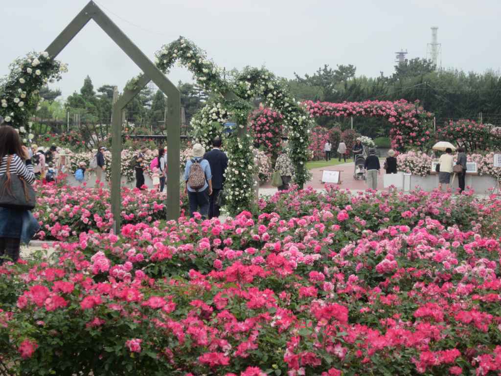 IMGP033.jpg