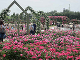 IMGP033_th.jpg