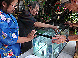 IMGP015_th.jpg
