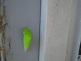 IMGP011_th.jpg