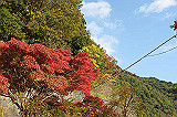 image016_th.jpg