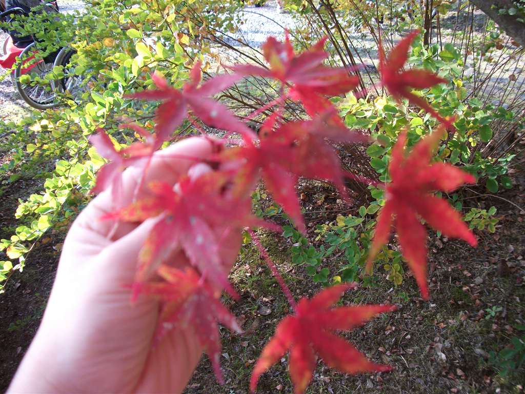 image020.jpg