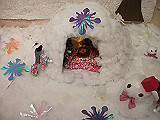 DSCF3682_th.jpg