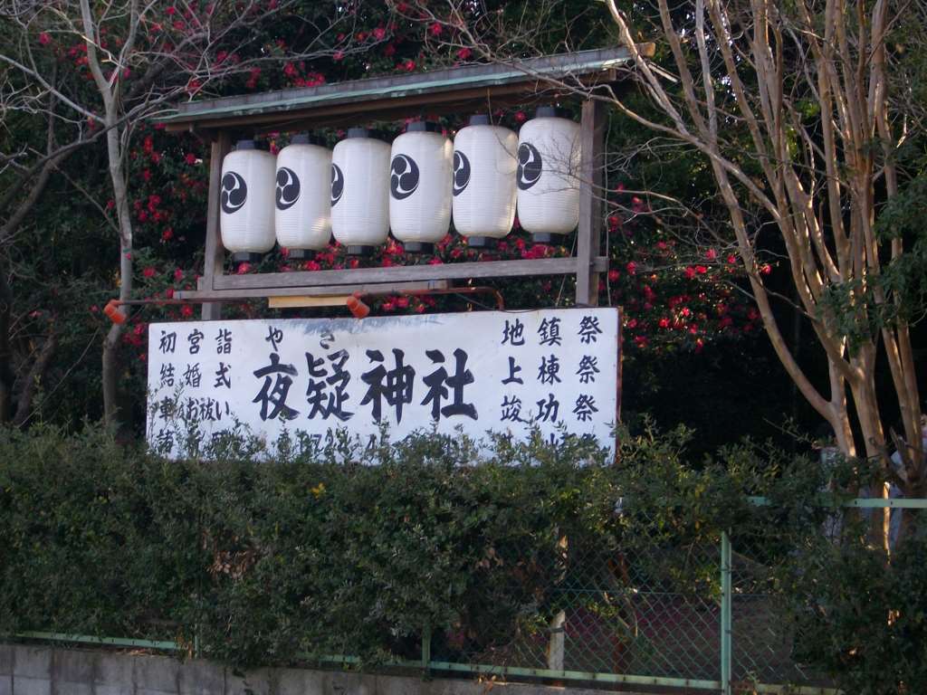 IMG018.jpg