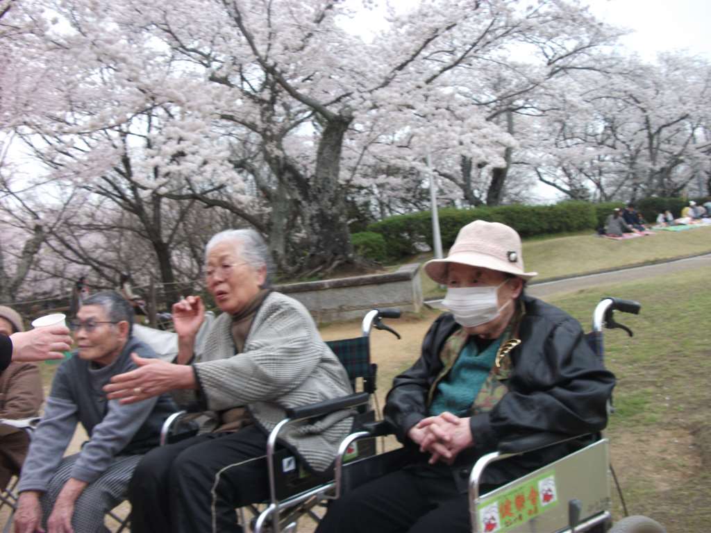 IMG006.jpg