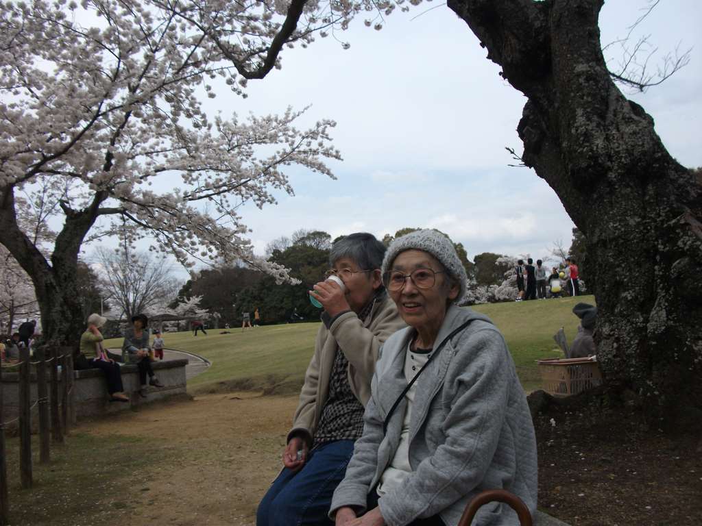 IMG007.jpg