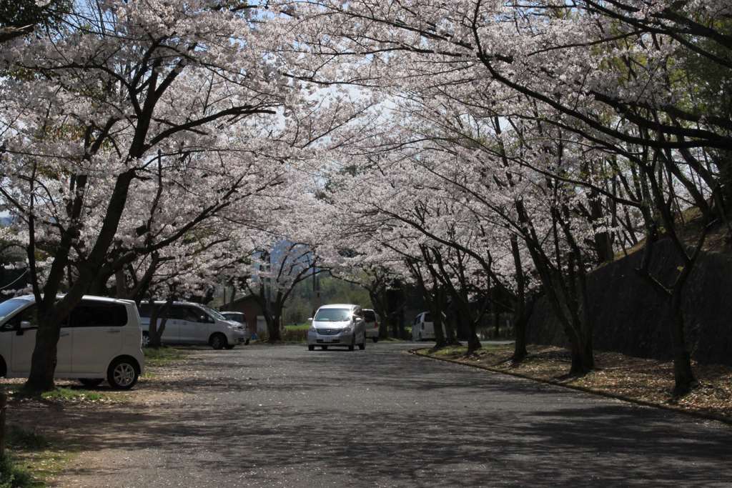 IMG025.jpg