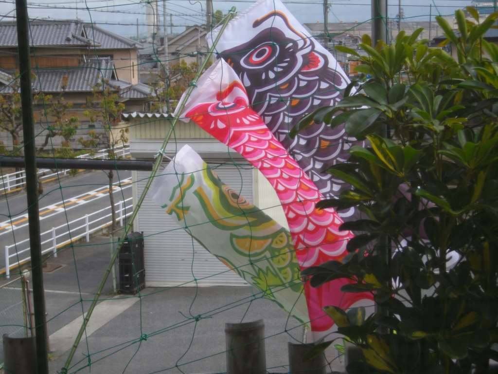 IMG007.jpg
