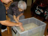 IMG008
