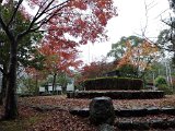 IMG021