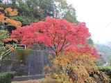 IMG022
