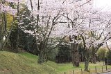 IMG011