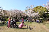 IMG044